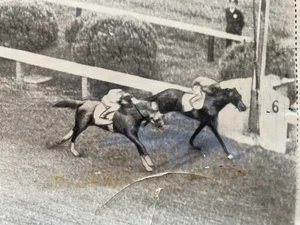 Original 1949 Press Photo Racehorse "CAPOT" Wins Preakness Stakes - Picture 1 of 4