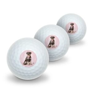 Schnauzer Puppy Dog with Bandana Sitting Novelty Golf Balls 3 Pack