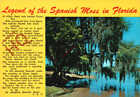 Picture Postcard: Florida, Legend Of The Spanish Moss