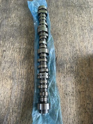 2015-2020 第 V 代 Lt DOD 凸轮轴 2017 年凯迪拉克凯雷德 6.2 升 L86 77k 英里 — 第 1/4 张图片