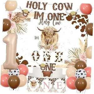Highland Cow 1st Birthday Decorations, Holy Cow I’m One First Birthday Party - Picture 1 of 7