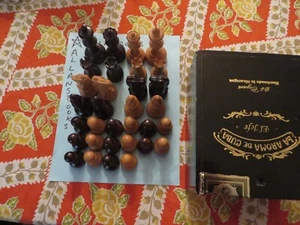 Juego de ajedrez vintage Allan Troy - ¡LAS HUELLAS DENTALES DE UN SABUESO GIGANTE! 3/4 #040124-A - Imagen 1 de 9