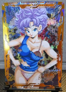 Tarjeta de Arte Ranfan Dragon Ball Z Brillo Holo Casi Nuevo Anime Coleccionable Waifu CCG - Imagen 1 de 5