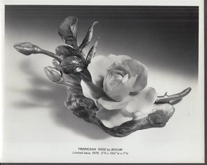 Fotografía Boehm PUBLICIDAD Tropicana Rose 1978 - Imagen 1 de 1