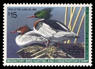 RW61 — 1994 Red-breasted merganser, Superb 98, PSE Certificate - Image 1 of 2