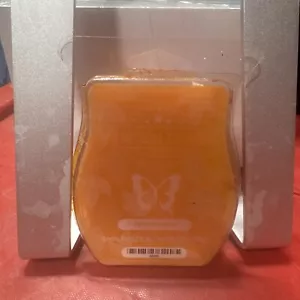 Scentsy Wachsbarren bemalte Blätter Rarität selten eingestellt ausgemustert - Bild 1 von 2