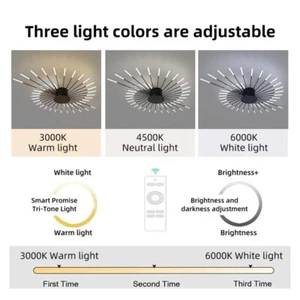 Indoor Decorative Ceiling Lighting,Ceiling Lights with Remote Control,For Aisle - Picture 1 of 9
