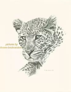 # 96 LEOPARD portrait * wildlife art print * pen & ink drawing by Jan Jellins - Picture 1 of 1