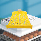 Mini inkubator plastikowa automatyczna taca na kurczaki taca na inkubator