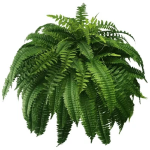 Artificial Ferns Plants Bushes Fake Boston Fern Shrubs Plastic Plant Green - Picture 1 of 14