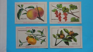 LOT DE 4 IMAGES PUBLICITAIRES CARTONNEES FRUITS BLECAO BLEDINE - Picture 1 of 2