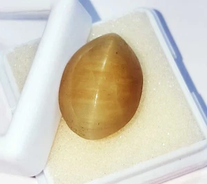 14.85 Ct 100% Natural Cat's Eye Loose Gemstone Oval Shape Certified - Picture 1 of 6