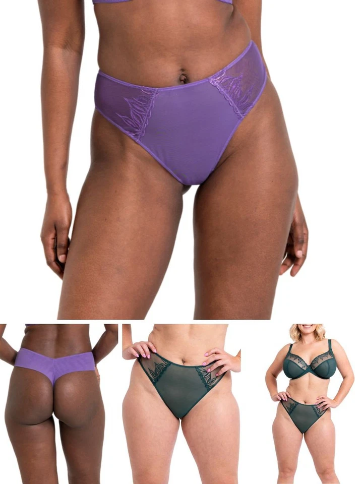 Curvy Kate Acampanado Tanga Profundo Calzoncillos Tanga Elástico Calzoncillos Bragas Lencería Foto 1 de 1