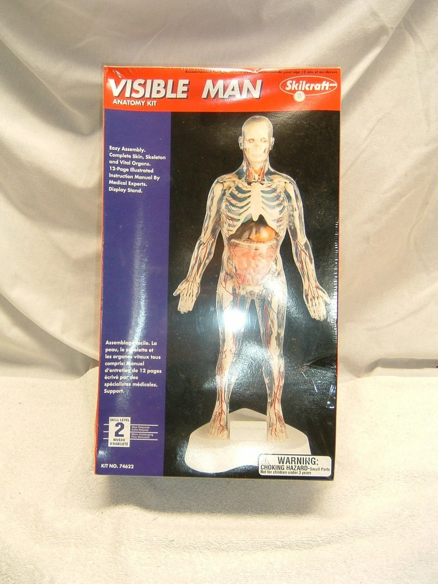 visible man products for sale | eBay