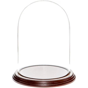 Plymor 5,5" x 8" Glas Display Kuppel Cloche (dunkles Mahagoni Furnier Basis) - Bild 1 von 2