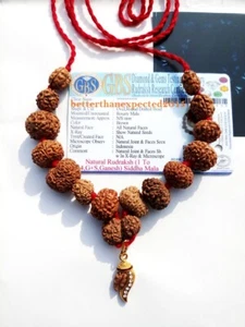 SIDDHA SIDH MALA 1 - 14 MUKHI RUDRAKSHA JAVA BEADS RUDRAKSH AUM ~ LAB CERTIFIED - Picture 1 of 3