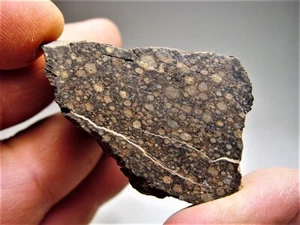 LOW PRICE! EXQUISITE END CUT! GREAT CHONDRULES! NWA 1465 CV3 METEORITE! 52.5 GMS - Picture 1 of 8