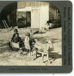 Children in a Crude Goat drawn Wagon Keystone Stereoview c1910 - Picture 1 of 3