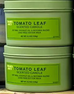 2 Pack Trader Joe's Tomato Leaf Scented Candle 5.3 oz Soy Wax Blend Spring NEW - Picture 1 of 8