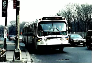5x7 FARBFOTO NYC BUS 1971 BLITZ GM FISHBOWL #5284 Bx-12 PELHAM PKWY. 3/11/94 - Bild 1 von 1
