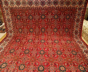 Alfombra Mahal 10,4 x 12,5 Hecha a Mano Anudada Años 50 _Tintes Vegetales Lana Fina Suave - Imagen 1 de 12