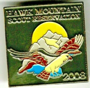 Boy Scouts Hawk Mountain Council 2008 Scout Camp Cloisonné Pin - Picture 1 of 1