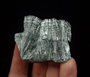 CLINOCHLORE var. SERAPHINITE Russia Zheleznogorsk Korshunovskoye deposit /pj921 - Picture 1 of 14
