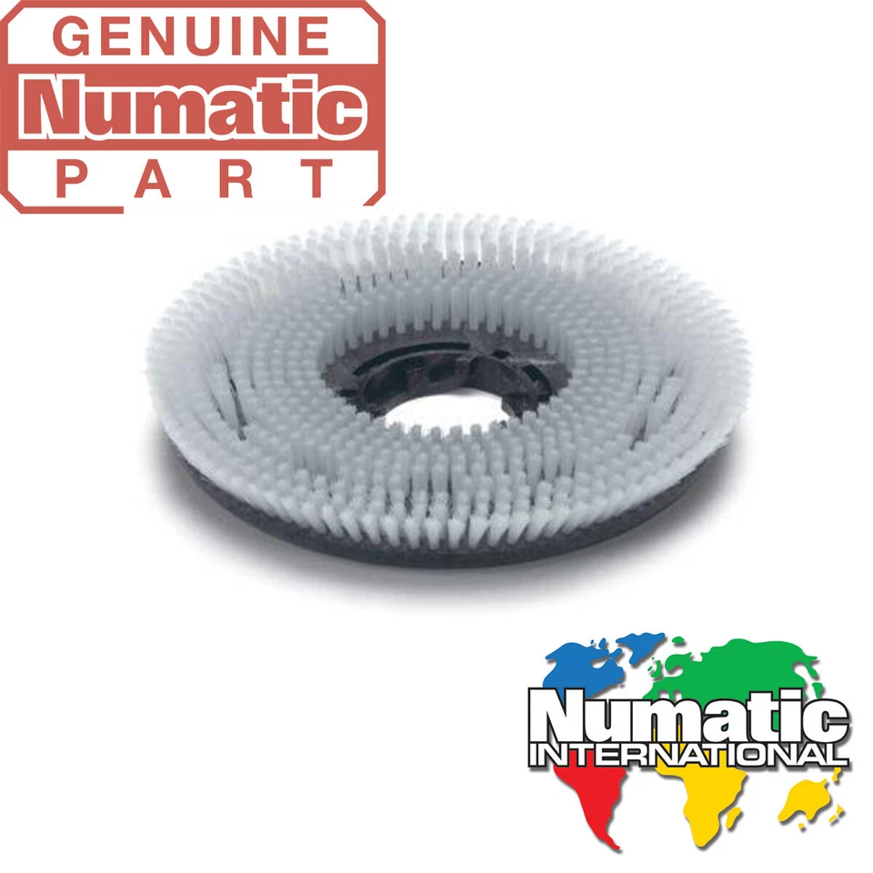 Numatic Genuine NyloscrubShampoo Brush 450mm For HFM and TT4045 series  - Image 1 of 1