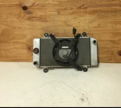 2008-2012 08 09 10 11 12 KAWASAKI NINJA 250 250R EX250 RADIADOR ENFRIADOR DE RADIADOR OEM Foto 1 de 4