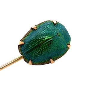 Ägyptischer Käfer Skarabäus irisierend grün 2,75" 14K Gelbgold Stecknadel 1,71g 585 - Bild 1 von 9