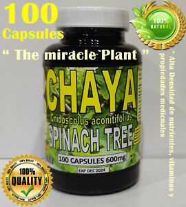 Chaya,Chaya 100 Caps, Mayan miracle plant, Chaya tree, organic spinach tree !!!