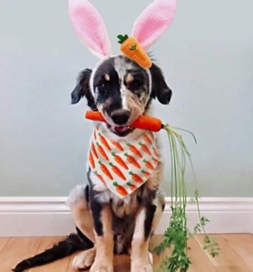 Bunny Ears Headband for Dogs and Easter Dog Bandana Set Of 3 - Picture 1 of 9