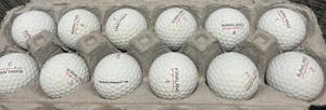 Una DOCENA (12) Kirkland Signature RENDIMIENTO + PELOTAS DE GOLF BLANCAS - AAAA/AAAAA - Imagen 1 de 3