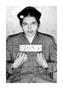 Rosa Parks Mug Shot A4 reproduction signed photograph poster choice of frame - Picture 1 of 6