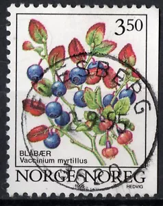 E1 Noruega 1995, NK 1224 SON Flesberg 12.9.95 (BU) - Imagen 1 de 1