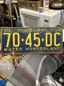 1954 Michigan License Plate 70-45-DC Water Wonderland - Picture 1 of 22