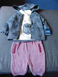 Miniville Hoodie, Trousers & Top Set 3 Part CottonRich 'Bear' 3m 62cm Multi BNWT - Picture 1 of 3