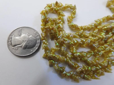 Missionary souvenir ANTIQUE MAIREENER SHELL NECKLACE South Pacific - Image 1 of 4