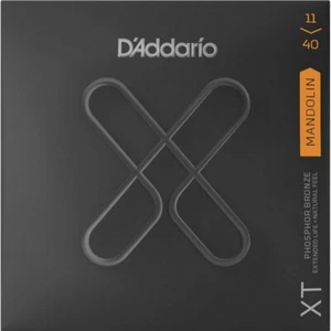 D'Addario XTM1140 Extended Life Mandolina Fósforo Bronce Cuerdas Medianas 11-40 - Imagen 1 de 2