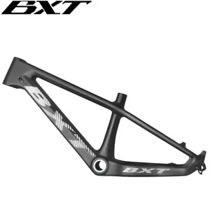 BXT 20er Child Carbon Fiber Mountain Bike Frame 11inch Adolescent MTB Frame - Picture 1 of 15