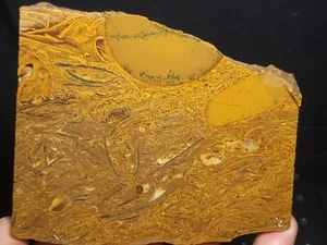 Coquina Jasper rough slab 4.5"x3.75"x1/4" (6.4 oz.) - Picture 1 of 4