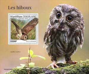 Togo - 2022 Spotted Owl - Stamp Souvenir Sheet - TG220110b1 - Picture 1 of 1