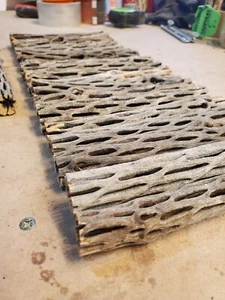 20 pcs 6" inch CHOLLA logs | Organic Cactus Wood | Shrimp Aquarium Decor | NICE! - Picture 1 of 10