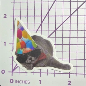 Birthday Hat Sunglasses on Kitty - Vinyl Sticker Decal Sticker Bomb Humor Funny - Picture 1 of 4