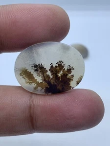 Dendritic Agate Cabochon Natural Dendritic Agate Gemstone Cabochon Shazar Agate - Picture 1 of 4