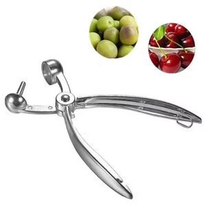 Fruit Remover Core Tool Corrosion Resistant Cherry Olive Pitter Stoner Pits Seed - Picture 1 of 8