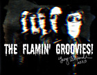 GFA Flamin' Groovies Band GEORGE ALEXANDER Signed 8x10 Photo G3 COA
