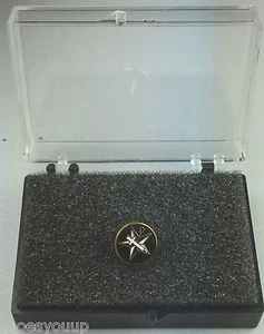 Masonic White Shrine Gold Plated Enamel Lapel Pin Badge In Gift Box - Picture 1 of 2