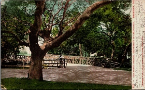 Old Rustic Bridge University of California Berkeley CA c1907 Vintage Postcard - Picture 1 of 2
