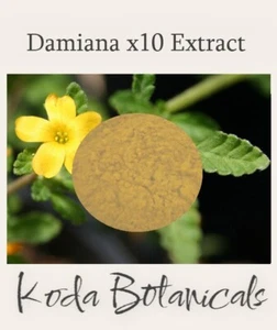 DAMIANA 10:1 EXTRACT POWDER 15g Turnera diffusa **x10 Stronger Than Herb** - Picture 1 of 1
